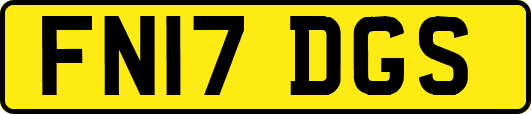 FN17DGS