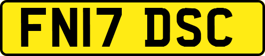 FN17DSC