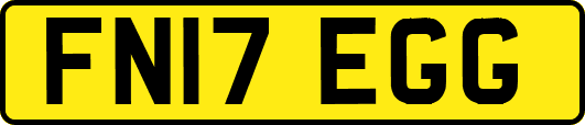 FN17EGG