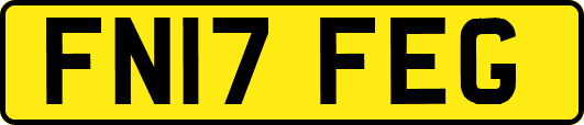FN17FEG