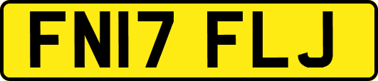 FN17FLJ