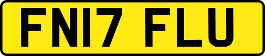 FN17FLU