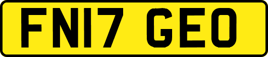 FN17GEO