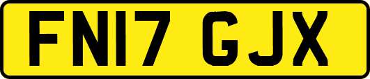FN17GJX