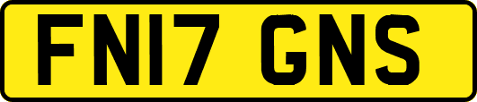 FN17GNS