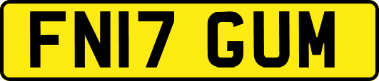 FN17GUM