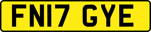 FN17GYE