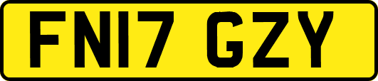 FN17GZY