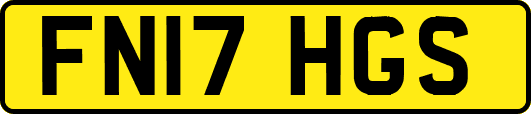 FN17HGS