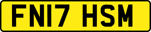 FN17HSM