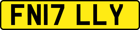 FN17LLY