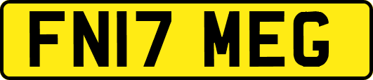 FN17MEG