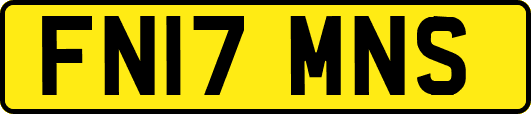 FN17MNS
