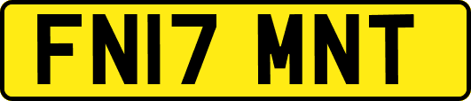 FN17MNT