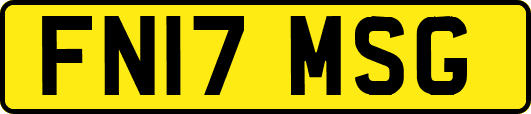 FN17MSG