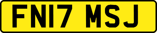 FN17MSJ