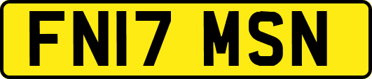 FN17MSN