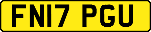 FN17PGU