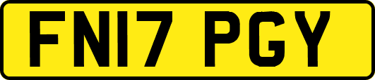 FN17PGY
