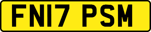 FN17PSM