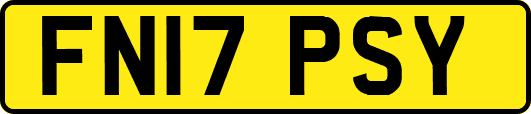 FN17PSY