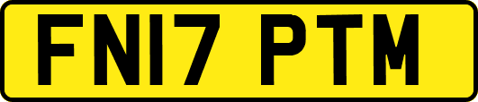 FN17PTM