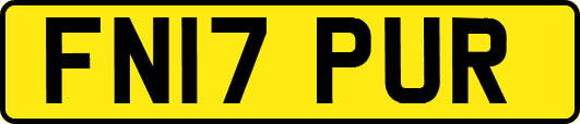 FN17PUR