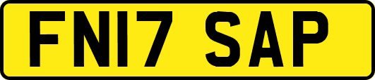 FN17SAP
