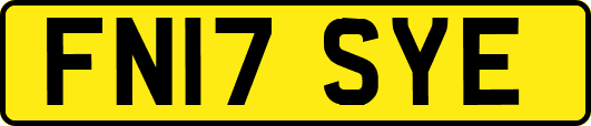 FN17SYE