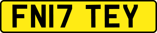 FN17TEY