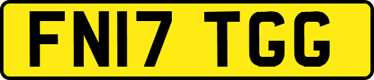 FN17TGG