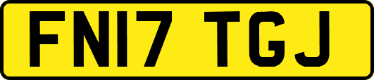 FN17TGJ