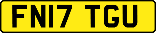 FN17TGU