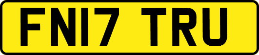 FN17TRU