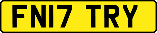 FN17TRY