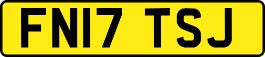 FN17TSJ