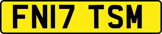 FN17TSM