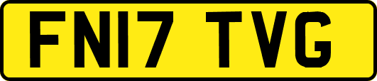 FN17TVG