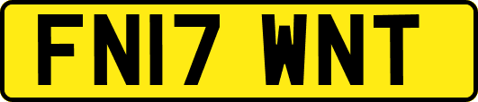 FN17WNT