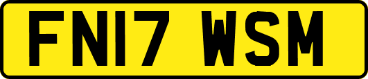 FN17WSM
