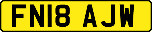 FN18AJW