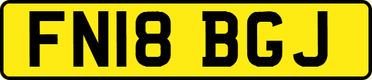 FN18BGJ