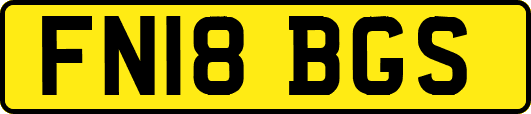 FN18BGS