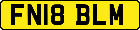 FN18BLM