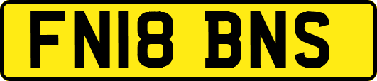FN18BNS