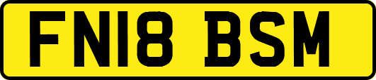 FN18BSM