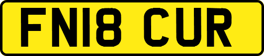FN18CUR