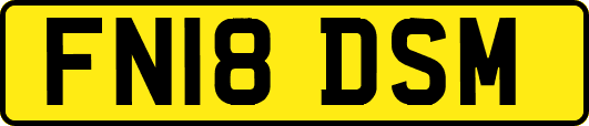 FN18DSM