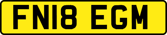 FN18EGM