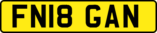 FN18GAN